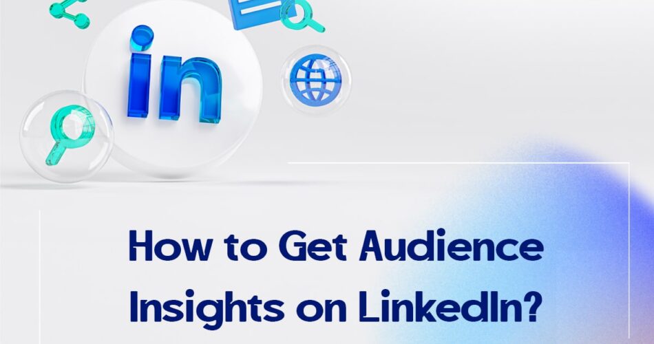 How to Get Audience Insights on LinkedIn?