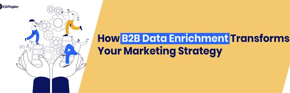 How B2B Data Enrichment Transforms Your Marketing Strategy